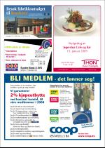 hallingdolen_magasin-20081223_000_00_00_022.pdf