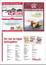 hallingdolen_magasin-20081223_000_00_00_058.pdf