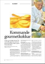hallingdolen_magasin-20081223_000_00_00_064.pdf