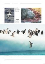 hallingdolen_magasin-20081223_000_00_00_082.pdf