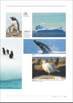 hallingdolen_magasin-20081223_000_00_00_083.pdf