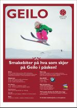 hallingdolen_magasin-20090320_000_00_00_035.pdf