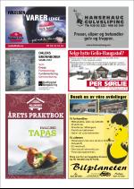 hallingdolen_magasin-20090320_000_00_00_064.pdf