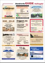 hallingdolen_magasin-20090320_000_00_00_084.pdf
