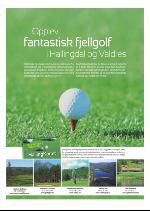 hallingdolen_magasin-20090620_000_00_00_025.pdf