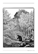 hallingdolen_magasin-20090620_000_00_00_073.pdf