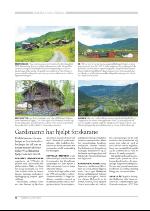 hallingdolen_magasin-20090620_000_00_00_076.pdf