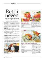 hallingdolen_magasin-20090620_000_00_00_084.pdf