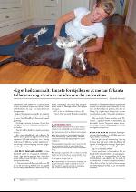 hallingdolen_magasin-20090919_000_00_00_028.pdf