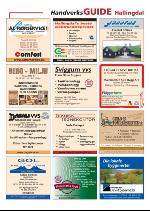 hallingdolen_magasin-20090919_000_00_00_031.pdf