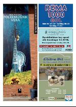 hallingdolen_magasin-20090919_000_00_00_036.pdf