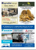 hallingdolen_magasin-20090919_000_00_00_043.pdf