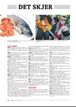 hallingdolen_magasin-20090919_000_00_00_044.pdf