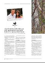 hallingdolen_magasin-20090919_000_00_00_070.pdf