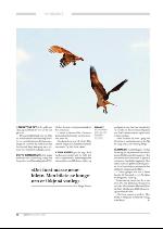 hallingdolen_magasin-20090919_000_00_00_076.pdf