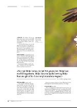 hallingdolen_magasin-20090919_000_00_00_078.pdf