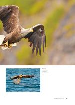 hallingdolen_magasin-20090919_000_00_00_079.pdf