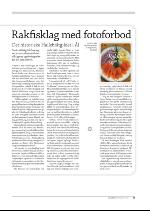 hallingdolen_magasin-20090919_000_00_00_085.pdf