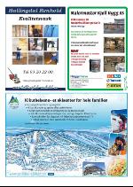 hallingdolen_magasin-20091219_000_00_00_021.pdf