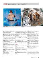 hallingdolen_magasin-20091219_000_00_00_041.pdf