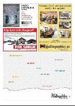 hallingdolen_magasin-20091219_000_00_00_042.pdf
