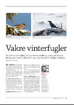 hallingdolen_magasin-20091219_000_00_00_073.pdf