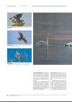 hallingdolen_magasin-20091219_000_00_00_074.pdf