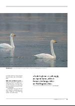 hallingdolen_magasin-20091219_000_00_00_075.pdf