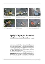 hallingdolen_magasin-20091219_000_00_00_077.pdf