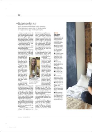 hallingdolen_magasin-20140920_000_00_00_016.pdf