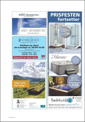 hallingdolen_magasin-20140920_000_00_00_044.pdf