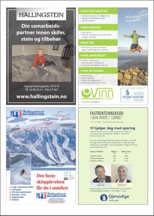 hallingdolen_magasin-20170401_000_00_00_016.pdf