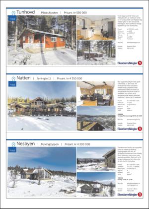 hallingdolen_magasin-20170401_000_00_00_061.pdf