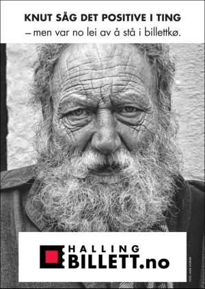 hallingdolen_magasin-20170401_000_00_00_092.pdf
