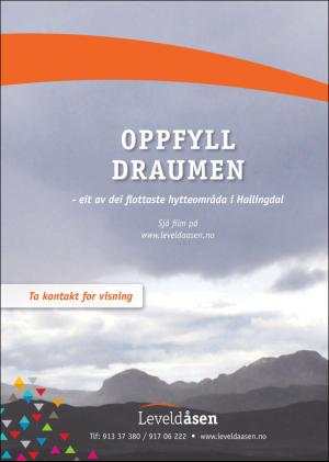 hallingdolen_magasin-20170401_000_00_00_099.pdf