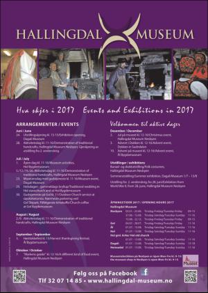 hallingdolen_magasin-20170617_000_00_00_011.pdf