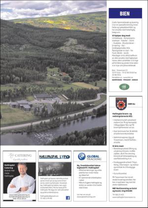 hallingdolen_magasin-20170617_000_00_00_021.pdf