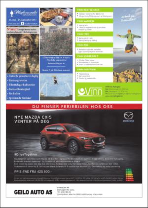 hallingdolen_magasin-20170617_000_00_00_034.pdf