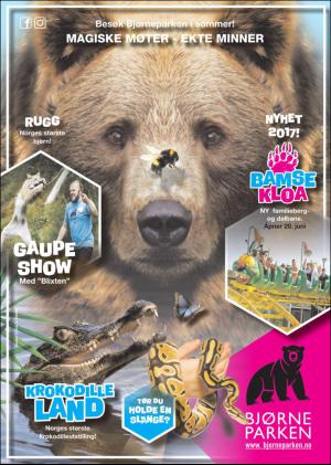 hallingdolen_magasin-20170617_000_00_00_035.pdf
