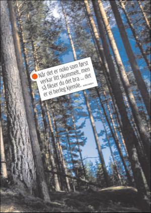 hallingdolen_magasin-20170617_000_00_00_041.pdf