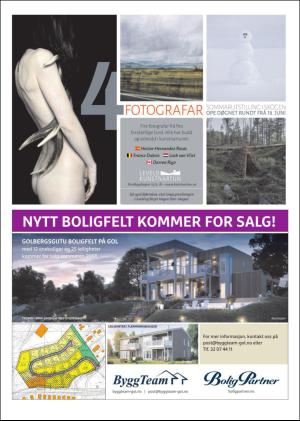 hallingdolen_magasin-20170617_000_00_00_045.pdf