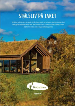 hallingdolen_magasin-20170617_000_00_00_049.pdf