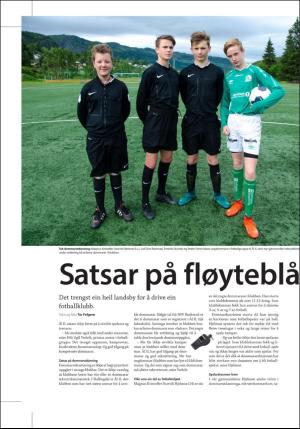 hallingdolen_magasin-20170810_000_00_00_008.pdf