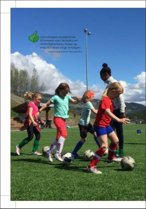 hallingdolen_magasin-20170810_000_00_00_016.pdf