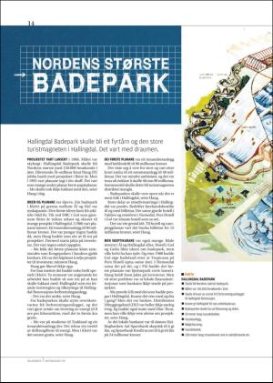 hallingdolen_magasin-20170916_000_00_00_014.pdf