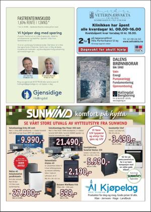 hallingdolen_magasin-20170916_000_00_00_041.pdf