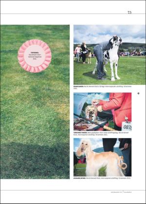 hallingdolen_magasin-20170916_000_00_00_075.pdf