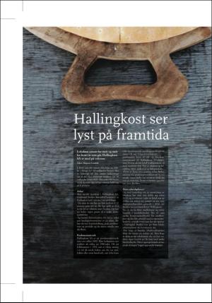hallingdolen_magasin-20171005_000_00_00_008.pdf