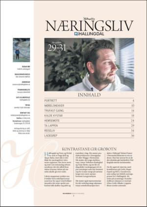 hallingdolen_magasin-20171111_000_00_00_003.pdf