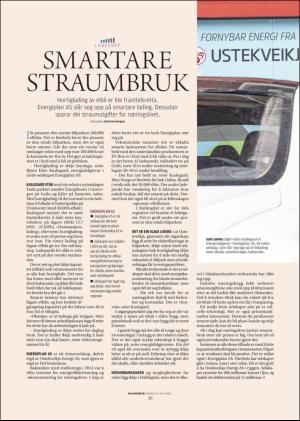 hallingdolen_magasin-20171111_000_00_00_036.pdf